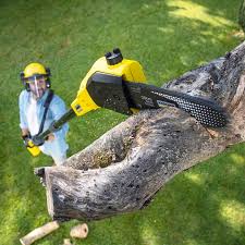 Lawn Maintenance Plans in Prestbury, IL